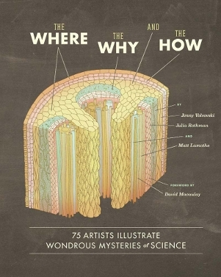 The Where Why, and the How - 