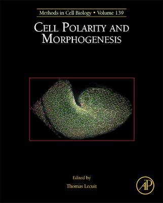 Cell Polarity and Morphogenesis - 