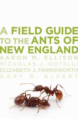 A Field Guide to the Ants of New England - Aaron M. Ellison, Nicholas J. Gotelli, Elizabeth J. Farnsworth, Gary D. Alpert