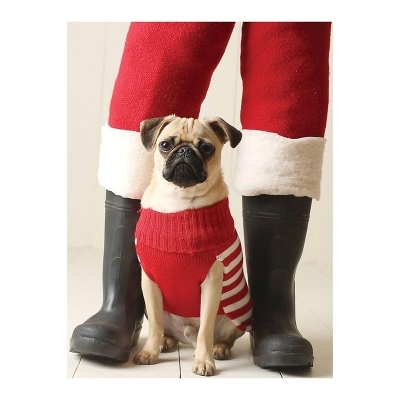 Pug Elf Notecards -  Galison