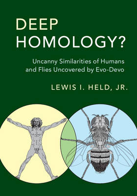 Deep Homology? - Jr Held  Lewis I.