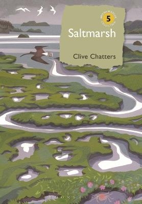 Saltmarsh - Clive Chatters