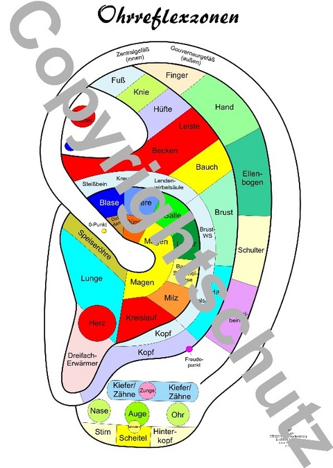 Reflexzonenübersicht - Ohr - Tanja Aeckersberg