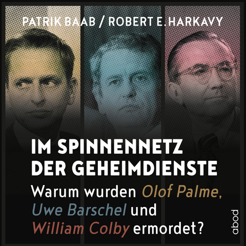 Im Spinnennetz der Geheimdienste - Patrik Baab, Robert E. Harkavy