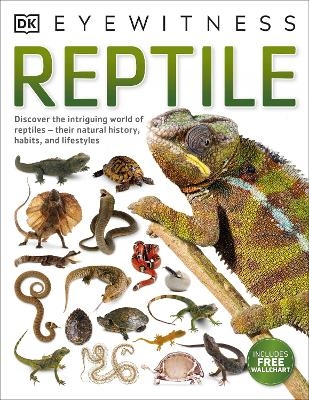 Reptile - Colin McCarthy