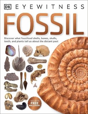Fossil - Dr Paul David Taylor
