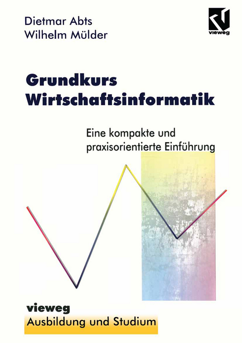 Grundkurs Wirtschaftsinformatik - Dietmar Abts