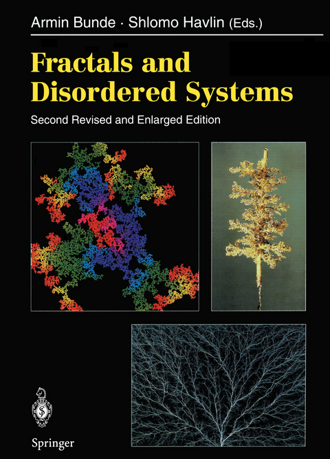 Fractals and Disordered Systems - 