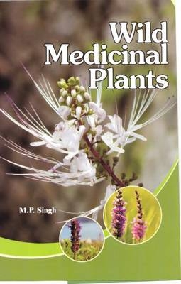 Wild Medicinal Plants - Mandip Singh