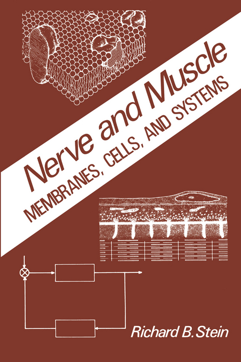 Nerve and Muscle - R. Stein