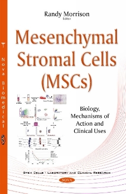 Mesenchymal Stromal Cells (MSCs) - 