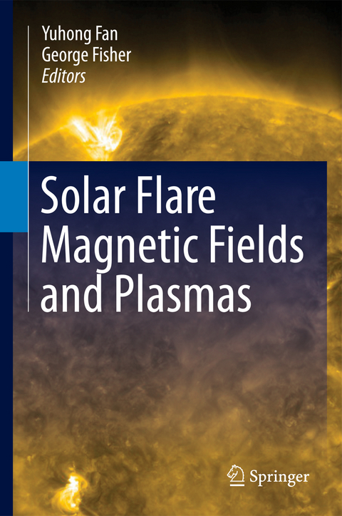 Solar Flare Magnetic Fields and Plasmas - 