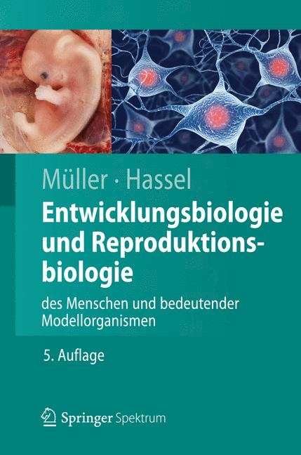 Entwicklungsbiologie und Reproduktionsbiologie des Menschen und bedeutender Modellorganismen - Werner A. Müller, Monika Hassel