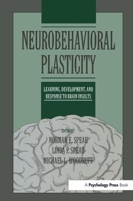 Neurobehavioral Plasticity - 