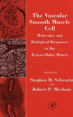 The Vascular Smooth Muscle Cell - 