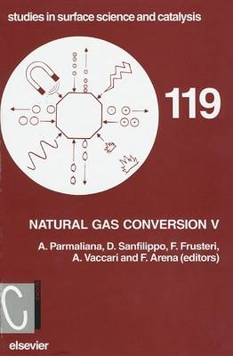 Natural Gas Conversion V - 