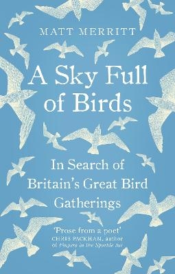 A Sky Full of Birds - Matt Merritt