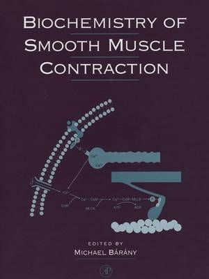 Biochemistry of Smooth Muscle Contraction - 