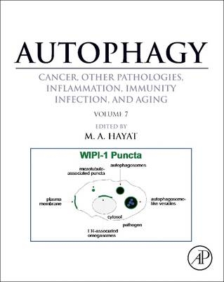 Autophagy: Cancer, Other Pathologies, Inflammation, Immunity, Infection, and Aging - 