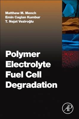 Polymer Electrolyte Fuel Cell Degradation - 
