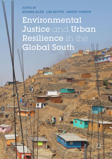 Environmental Justice and Urban Resilience in the Global South - 