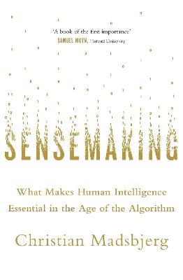 Sensemaking - Christian Madsbjerg