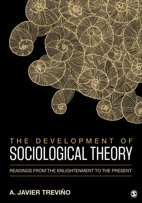 The Development of Sociological Theory - 