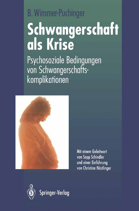 Schwangerschaft als Krise - Beate Wimmer-Puchinger