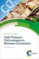 High Pressure Technologies in Biomass Conversion - 