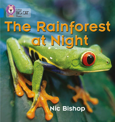 The Rainforest at Night - Nic Bishop