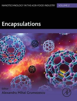 Encapsulations - Alexandru Grumezescu