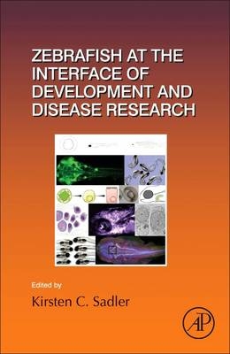 Zebrafish at the Interface of Development and Disease Research - 