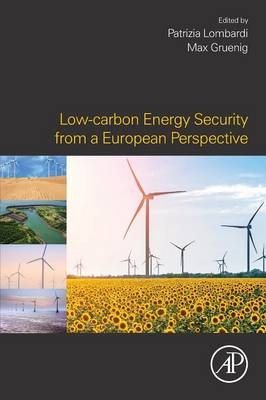 Low-carbon Energy Security from a European Perspective - 