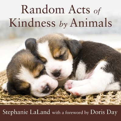 Random Acts of Kindness by Animals - Stephanie Laland