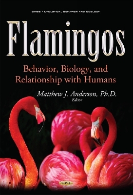 Flamingos - 