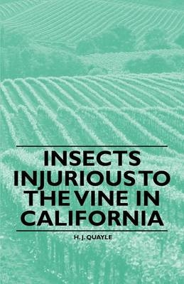 Insects Injurious to the Vine in California - H. J. Quayle