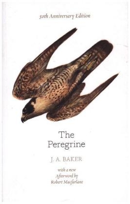 The Peregrine: 50th Anniversary Edition - J. A. Baker