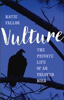Vulture - Katie Fallon