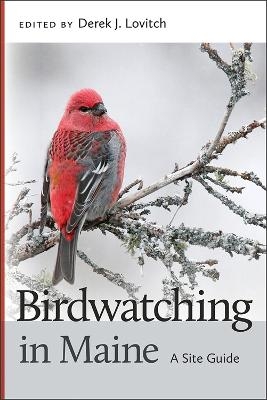 Birdwatching in Maine - 