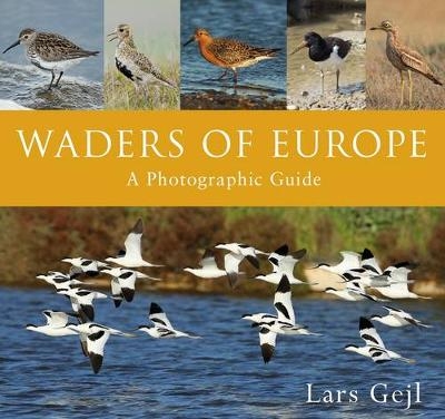Waders of Europe - Lars Gejl