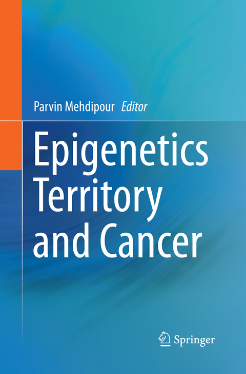 Epigenetics Territory and Cancer - 