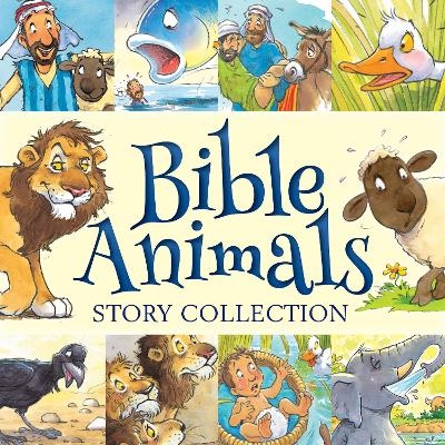 Bible Animals Story Collection - Juliet David