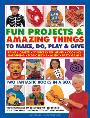 Fun Projects and Amazing Things to Make, Do, Play and Give - Sally Walton