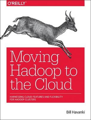 Moving Hadoop in the Cloud - Bill Havanki