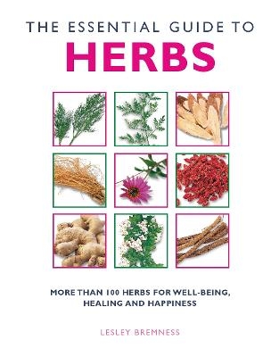 Essential Guide to Herbs - Lesley Bremness