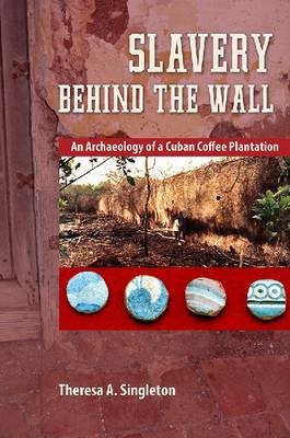 Slavery behind the Wall - Theresa A. Singleton