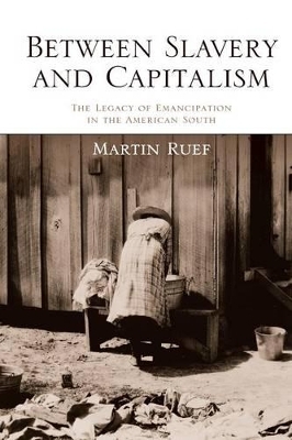 Between Slavery and Capitalism - Martin Ruef