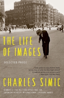 The Life of Images - Charles Simic