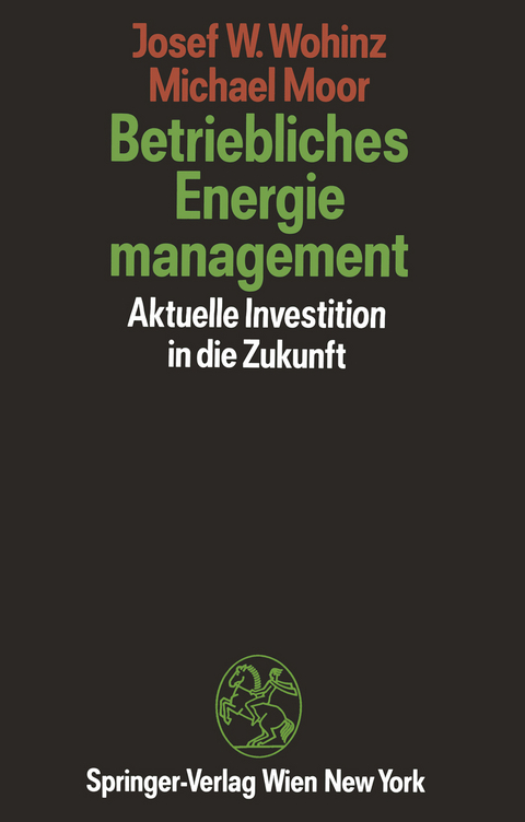 Betriebliches Energiemanagement - Josef W. Wohinz, Michael Moor