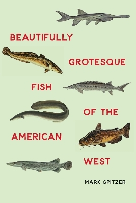 Beautifully Grotesque Fish of the American West - Mark Spitzer